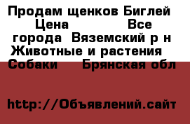 Продам щенков Биглей › Цена ­ 15 000 - Все города, Вяземский р-н Животные и растения » Собаки   . Брянская обл.